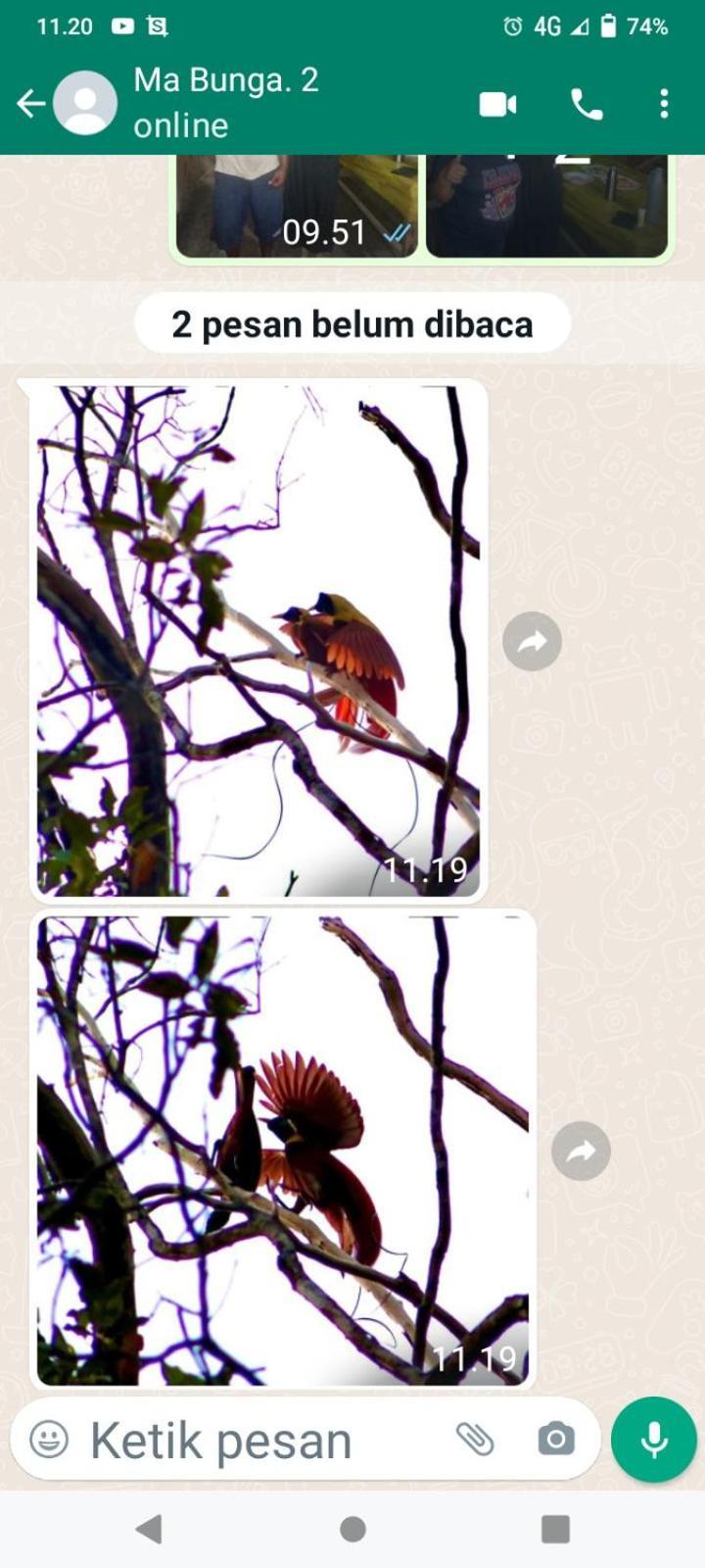 Amfriwen Homestay Yennanas Besir Exteriör bild